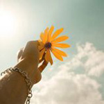Self Storage link and resource