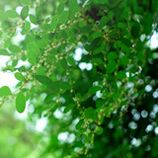 Self Storage link and resource